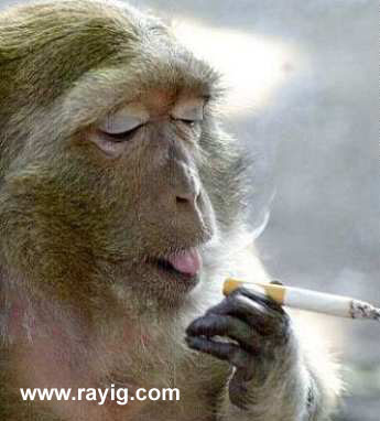 hahaha